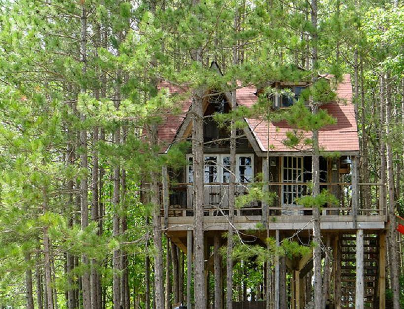 Lynne Knowlton's tree house | www.facebook.com/SmallHouseBliss