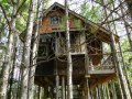 Lynne Knowlton's tree house | www.facebook.com/SmallHouseBliss