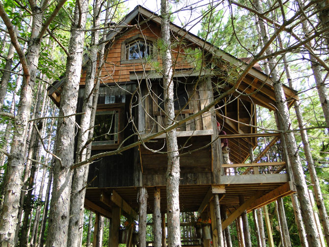 Lynne Knowlton's tree house | www.facebook.com/SmallHouseBliss