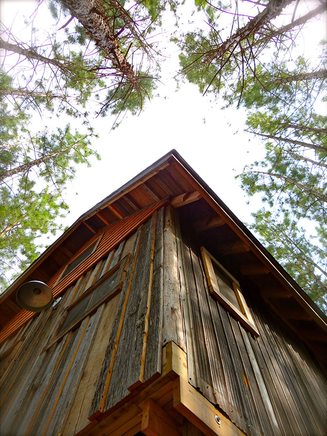 Lynne Knowlton's tree house | www.facebook.com/SmallHouseBliss