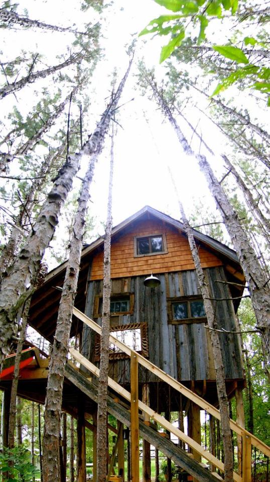 Lynne Knowlton's tree house | www.facebook.com/SmallHouseBliss