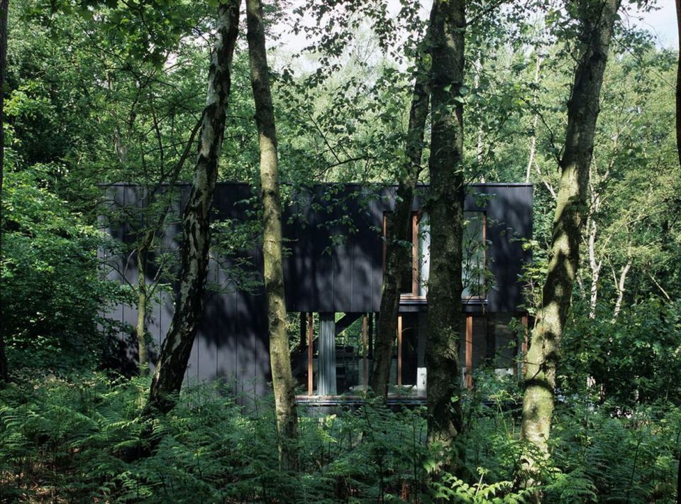 A small modern house in the woods with an urban loft design. | www.facebook.com/SmallHouseBliss