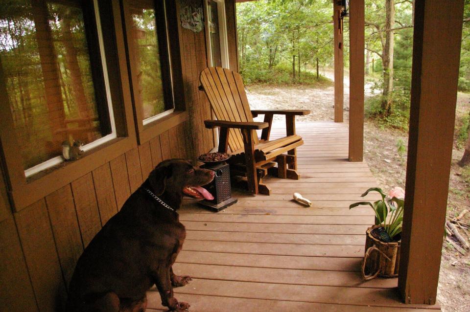 Dave Fosson's "ManCamp" cabin in the woods is 16' by 24' and has a sleeping loft. | www.facebook.com/SmallHouseBliss