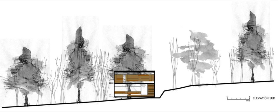 Casa Apolo 11, a secluded forest house with 2 bedrooms in 1,033 sq ft. | www.facebook.com/SmallHouseBliss