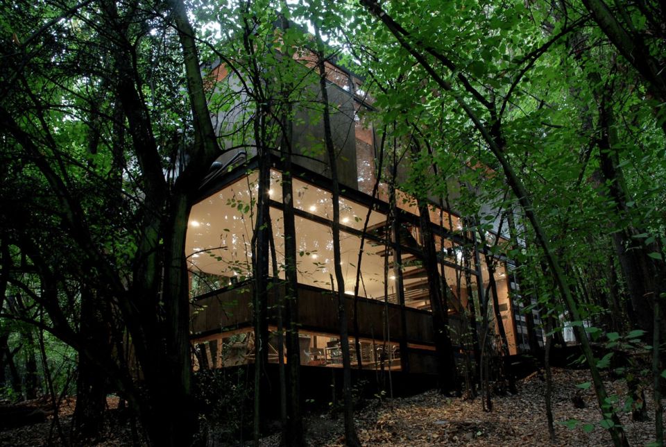 Casa Apolo 11, a secluded forest house with 2 bedrooms in 1,033 sq ft. | www.facebook.com/SmallHouseBliss