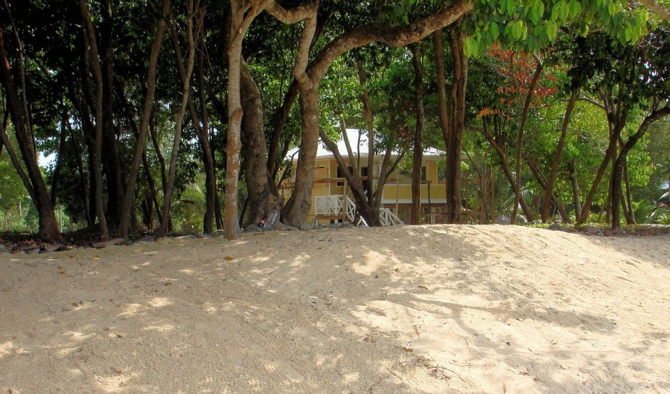 This small Caribbean beach house has one bedroom in 442 sq ft. | www.facebook.com/SmallHouseBliss