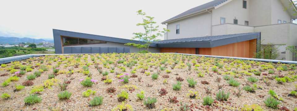 This modern version of the traditional Japanese courtyard house has two bedrooms in 534 sq ft. | www.facebook.com/SmallHouseBliss
