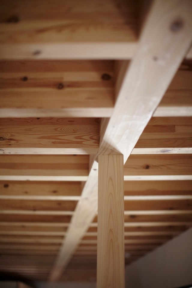 House in Setagawa by SKAL and OUVI