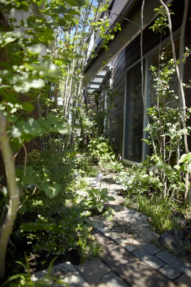 House in Setagawa by SKAL and OUVI