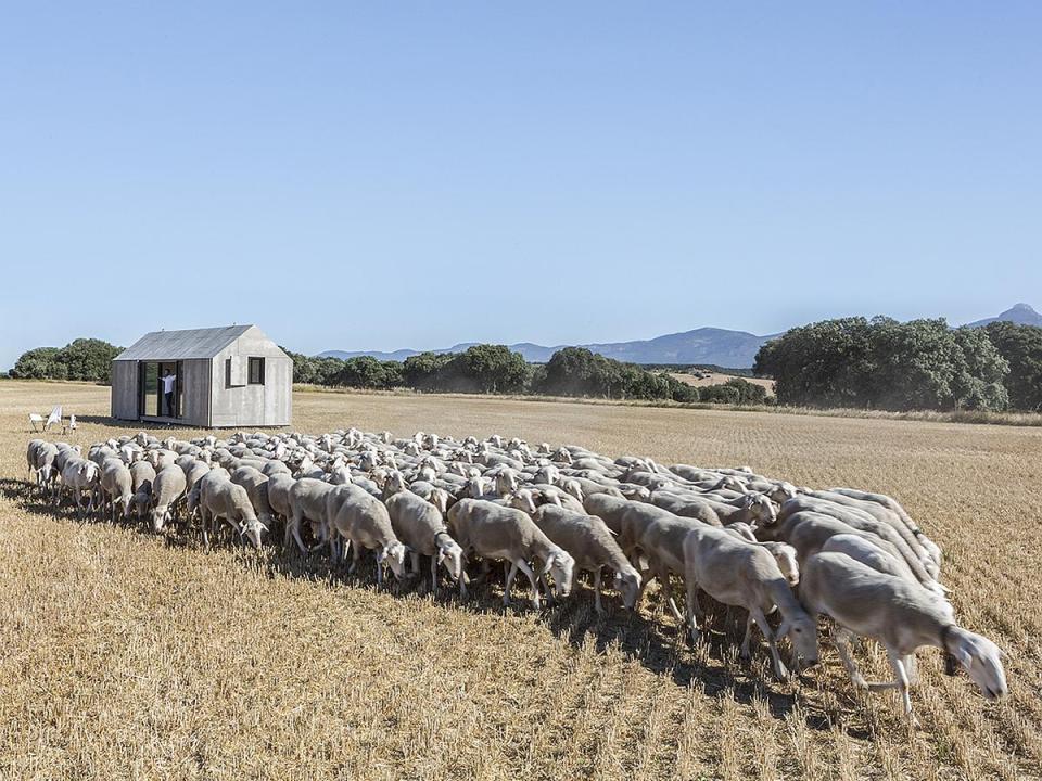 The ÁPH80 Transportable House, a tiny prefab with a minimalist design aesthetic, has one bedroom in 291 sq ft. | www.facebook.com/SmallHouseBliss