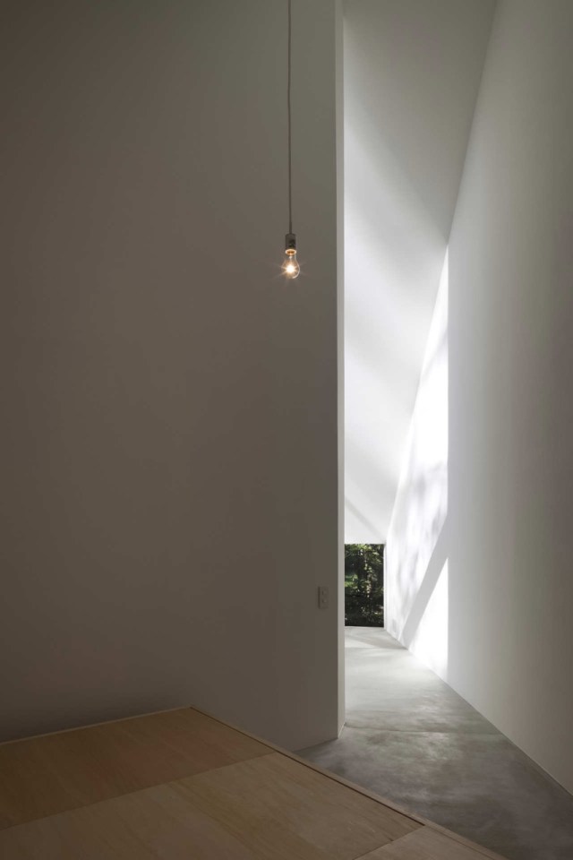 Forest Bath by Kyoko Ikuta and Katsuyuki Ozeki