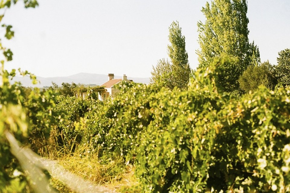 This cozy stone cottage in the Turkish countryside has one bedroom in roughly 650 sq ft. | www.facebook.com/SmallHouseBliss