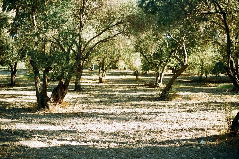This cozy stone cottage in the Turkish countryside has one bedroom in roughly 650 sq ft. | www.facebook.com/SmallHouseBliss