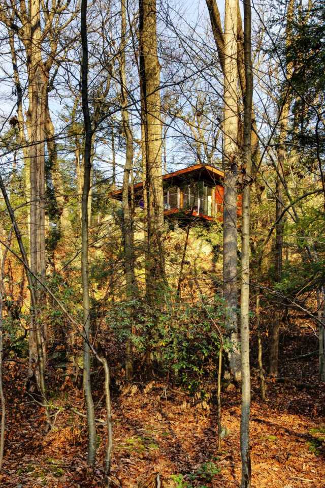 A 300 sq ft studio retreat in the woods designed for quiet contemplation. | www.facebook.com/SmallHouseBliss
