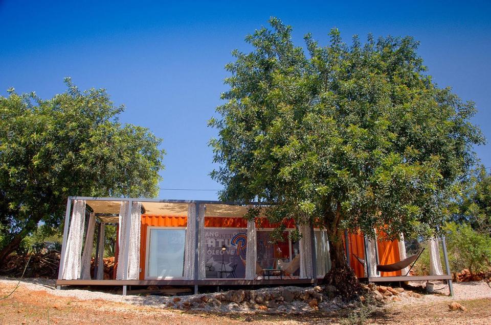Nomad Living, a shipping container guest house that expands out to a shaded terrace. | www.facebook.com/SmallHouseBliss
