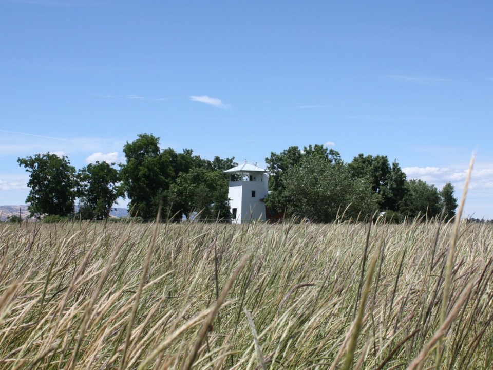This small cabin modeled on old-fashioned water towers has 1 bedroom and a loft. | www.facebook.com/SmallHouseBliss