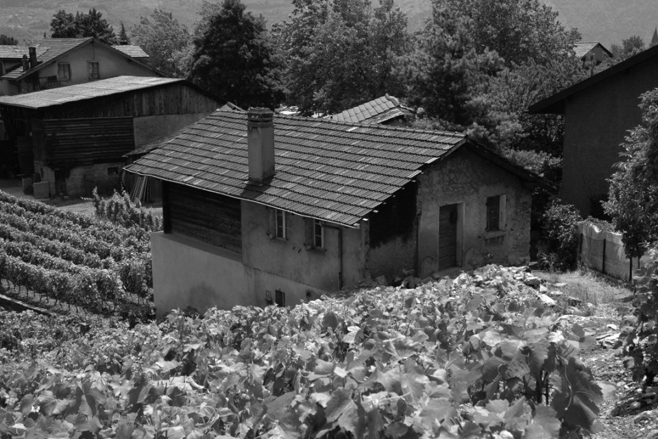 A vineyard residence and wine cellar dating from 1850 were restored as a small 2 bedroom house. | www.facebook.com/SmallHouseBliss