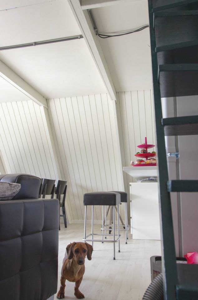 The "Tipi", a cozy A-frame cottage in Belgium. | www.facebook.com/SmallHouseBliss