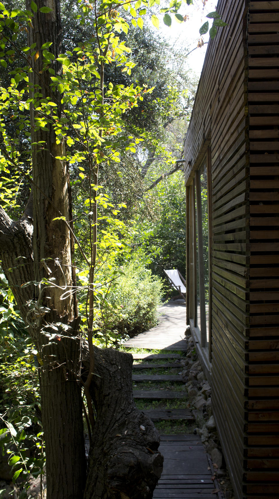 This modern "hermit's cabin" in Chile has a 215 sq ft studio floor plan. | www.facebook.com/SmallHouseBliss