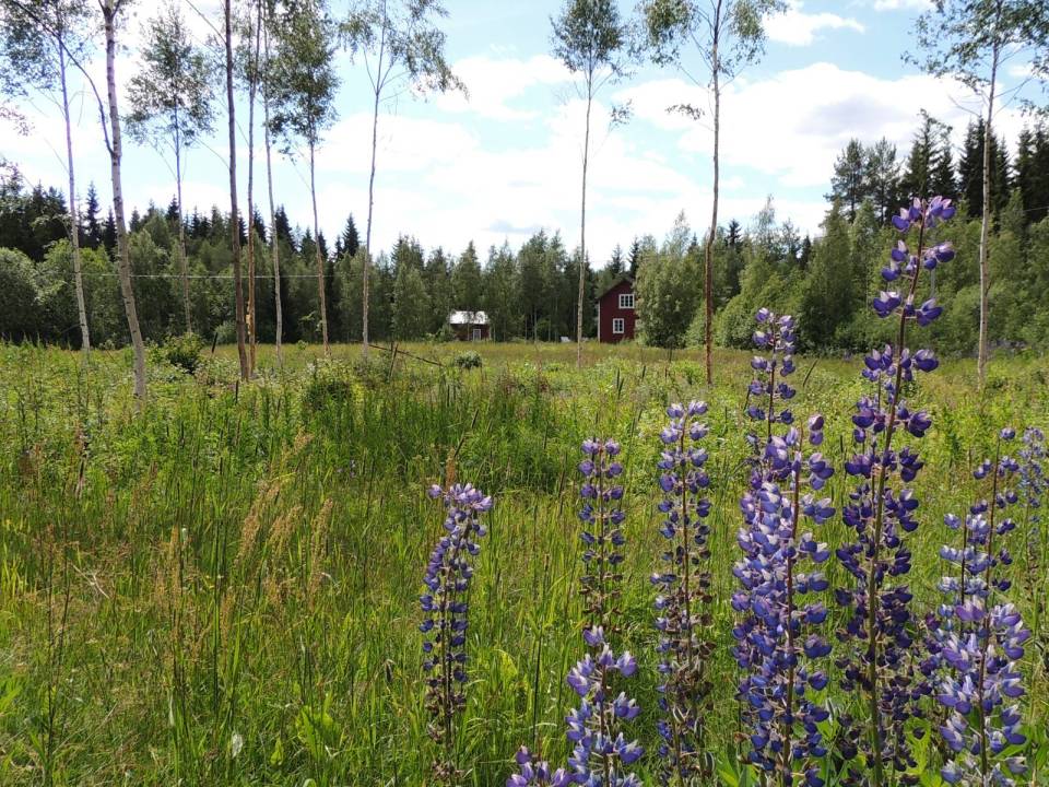 This hundred-year-old farmhouse in the Swedish countryside retains much of its original interior and character. It has 3 bedrooms in roughly 1,020 sq ft. | www.facebook.com/SmallHouseBliss