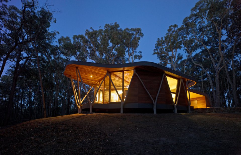 "Trunk House" in Australia uses forked tree trunks to support the roof. It has 2 bedrooms in 915 sq ft. | www.facebook.com/SmallHouseBliss