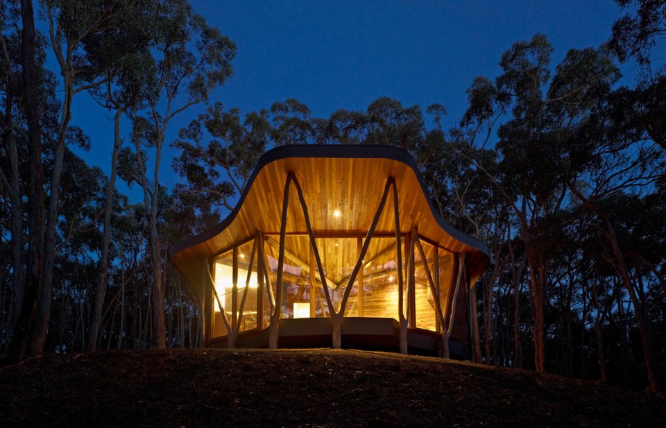 "Trunk House" in Australia uses forked tree trunks to support the roof. It has 2 bedrooms in 915 sq ft. | www.facebook.com/SmallHouseBliss