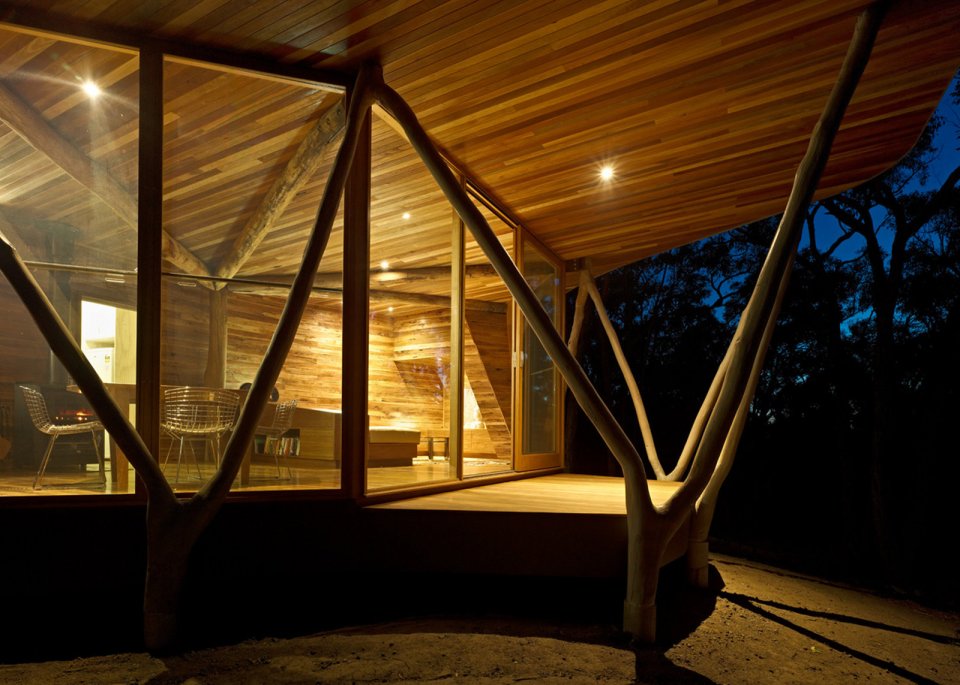 "Trunk House" in Australia uses forked tree trunks to support the roof. It has 2 bedrooms in 915 sq ft. | www.facebook.com/SmallHouseBliss