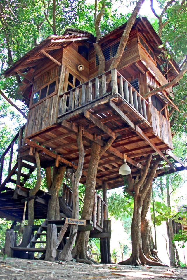 Treehouse at the Rabeang Pasak Chiangmai Treehouse Resort in northern Thailand. | www.facebook.com/SmallHouseBliss