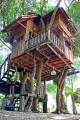 Treehouse at the Rabeang Pasak Chiangmai Treehouse Resort in northern Thailand. | www.facebook.com/SmallHouseBliss