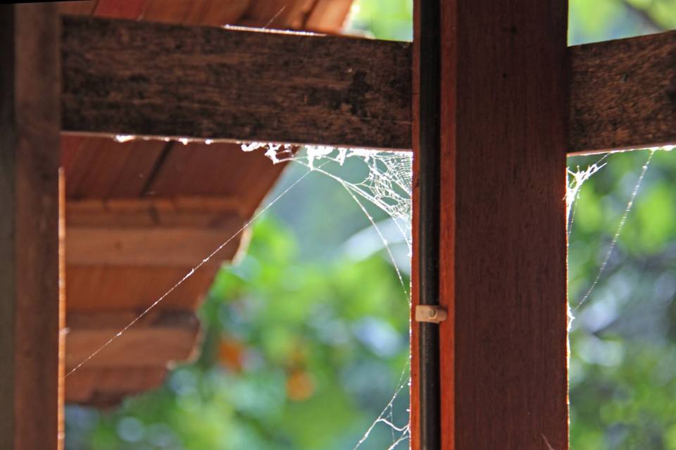 Treehouse at the Rabeang Pasak Chiangmai Treehouse Resort in northern Thailand. | www.facebook.com/SmallHouseBliss