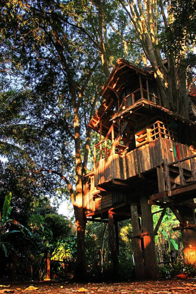 Treehouse at the Rabeang Pasak Chiangmai Treehouse Resort in northern Thailand. | www.facebook.com/SmallHouseBliss