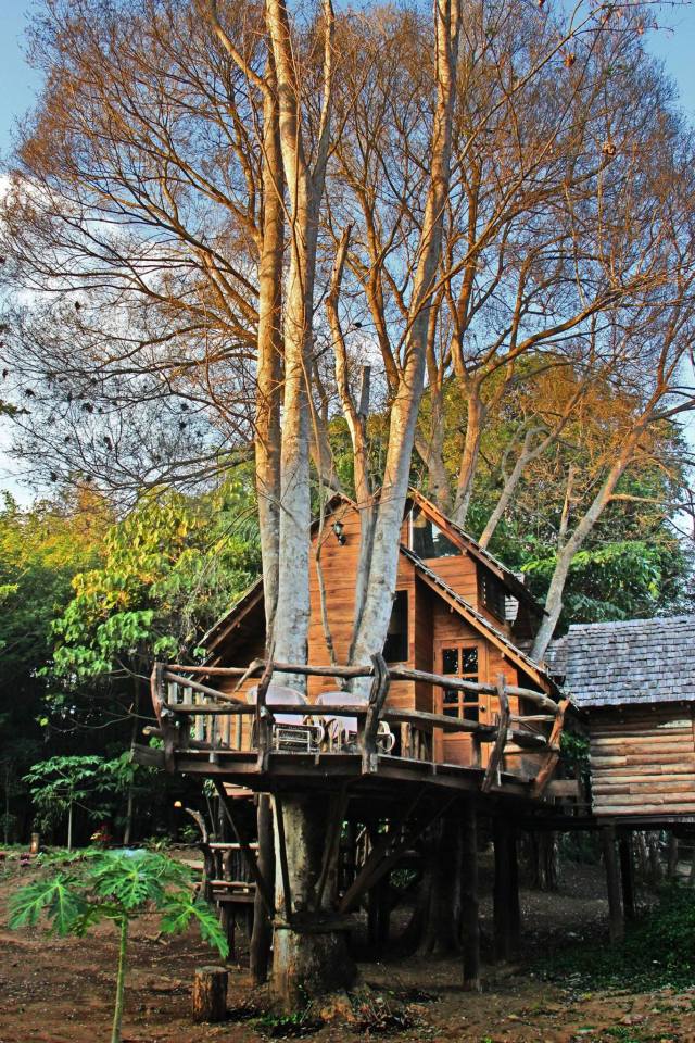 Treehouse at the Rabeang Pasak Chiangmai Treehouse Resort in northern Thailand. | www.facebook.com/SmallHouseBliss