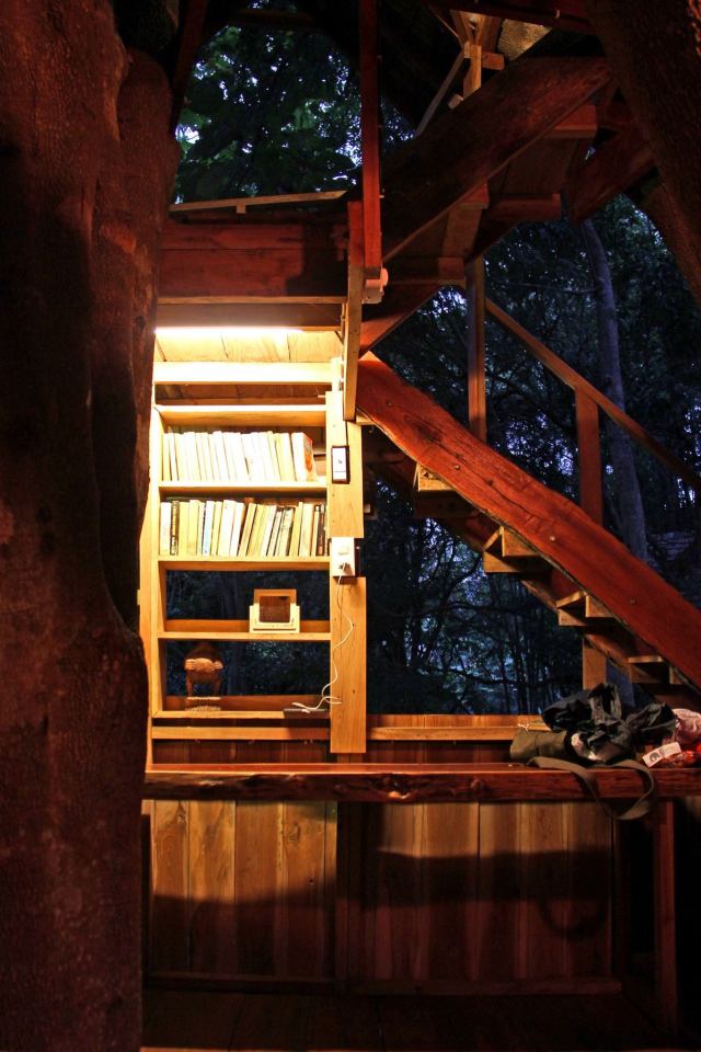 Treehouse at the Rabeang Pasak Chiangmai Treehouse Resort in northern Thailand. | www.facebook.com/SmallHouseBliss