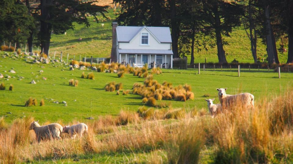 The Shepherd’s Cottage, a restored century-old one bedroom farmhouse on a New Zealand farm. | www.facebook.com/SmallHouseBliss