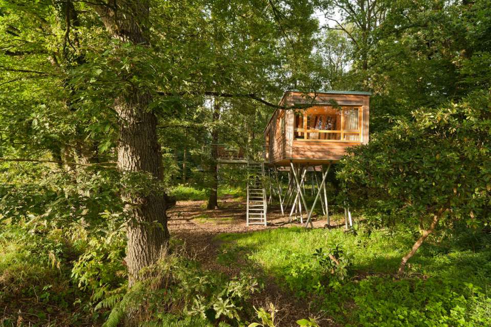 The Baumgeflüster treehouse resort in Germany. Each treehouse has one bedroom in 383 sq ft. | www.facebook.com/SmallHouseBliss
