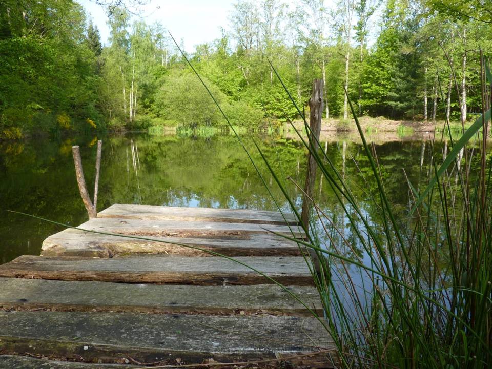 The tiny off-grid Woodsman's Cabin in France, built with rustic charm by the owners. | www.facebook.com/SmallHouseBliss