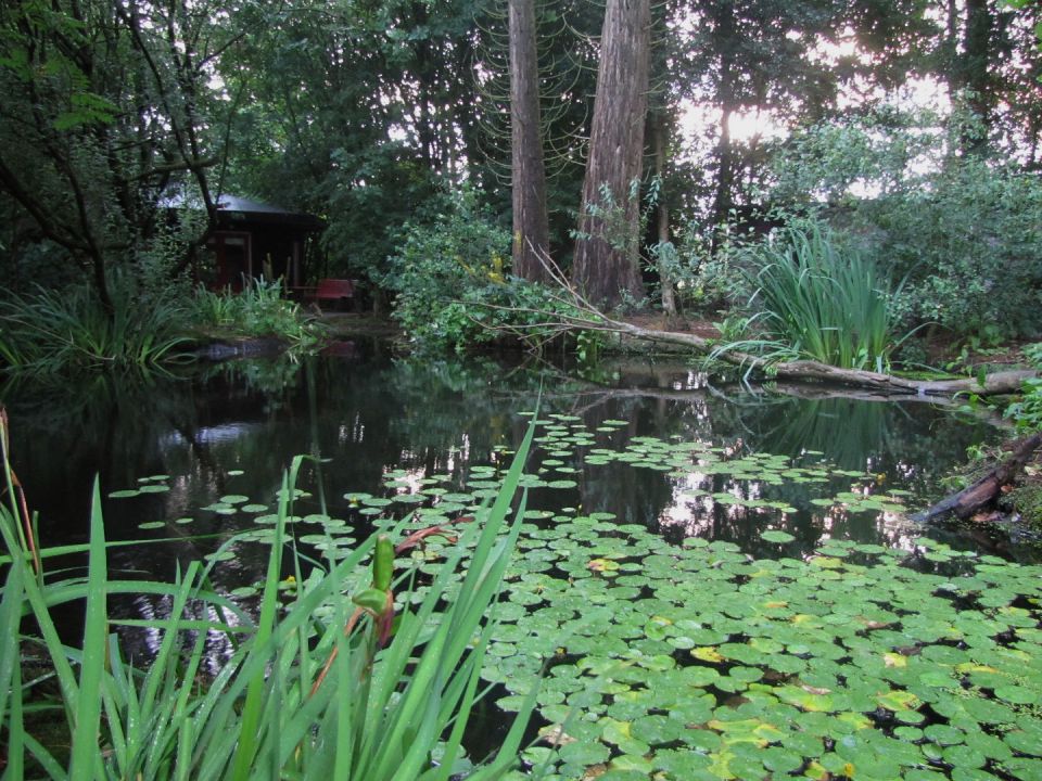 "Forest House" is a yurt-like tiny cottage with rafters radiating out from the center and an open studio floor plan. | www.facebook.com/SmallHouseBliss
