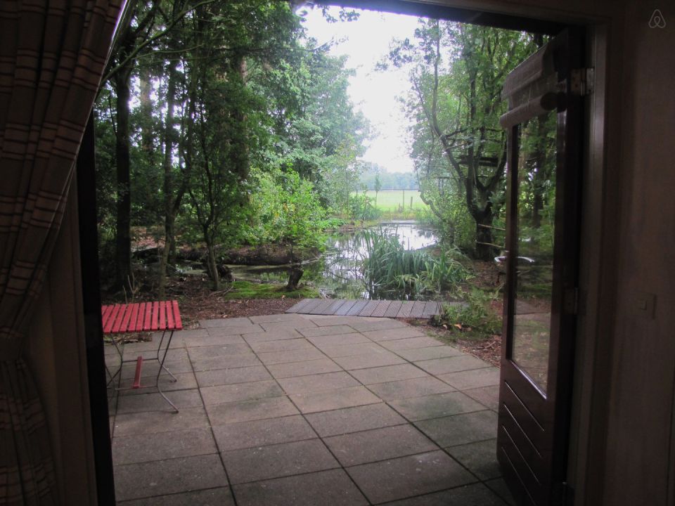 "Forest House" is a yurt-like tiny cottage with rafters radiating out from the center and an open studio floor plan. | www.facebook.com/SmallHouseBliss