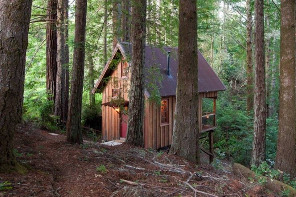 Owl Tree Cabin, a tiny cabin that feels like a treehouse. It has a compact kitchen and bathroom on the 225 sq ft main level plus a loft bedroom. | www.facebook.com/SmallHouseBliss