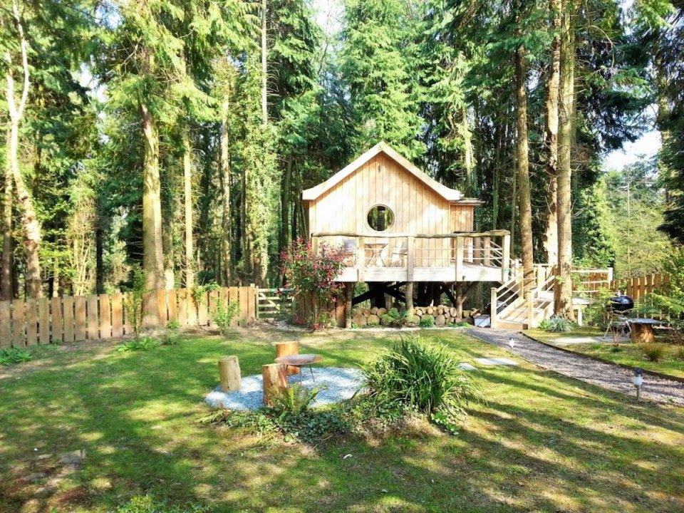 The Birdhouse Treehouse, a tiny wooden cottage in a woodland clearing. It has an open floor plan with a semi-separate bedroom space. | www.facebook.com/SmallHouseBliss