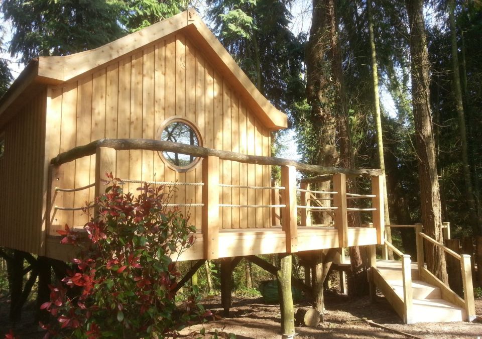 The Birdhouse Treehouse, a tiny wooden cottage in a woodland clearing. It has an open floor plan with a semi-separate bedroom space. | www.facebook.com/SmallHouseBliss