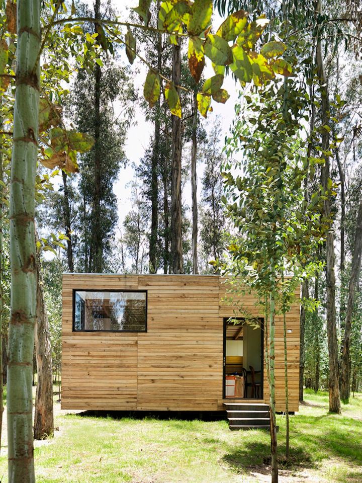 A small house in Ecuador built with sustainable materials and a green roof. It has one bedroom in 524 sq ft. | www.facebook.com/SmallHouseBliss
