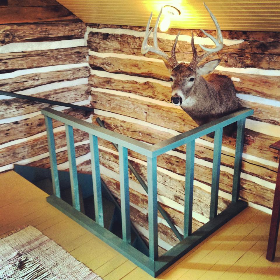 Trout River Log Cabin is over 150 years old. Originally a school, it has twice been disassembled, moved and put back together. | www.facebook.com/SmallHouseBliss